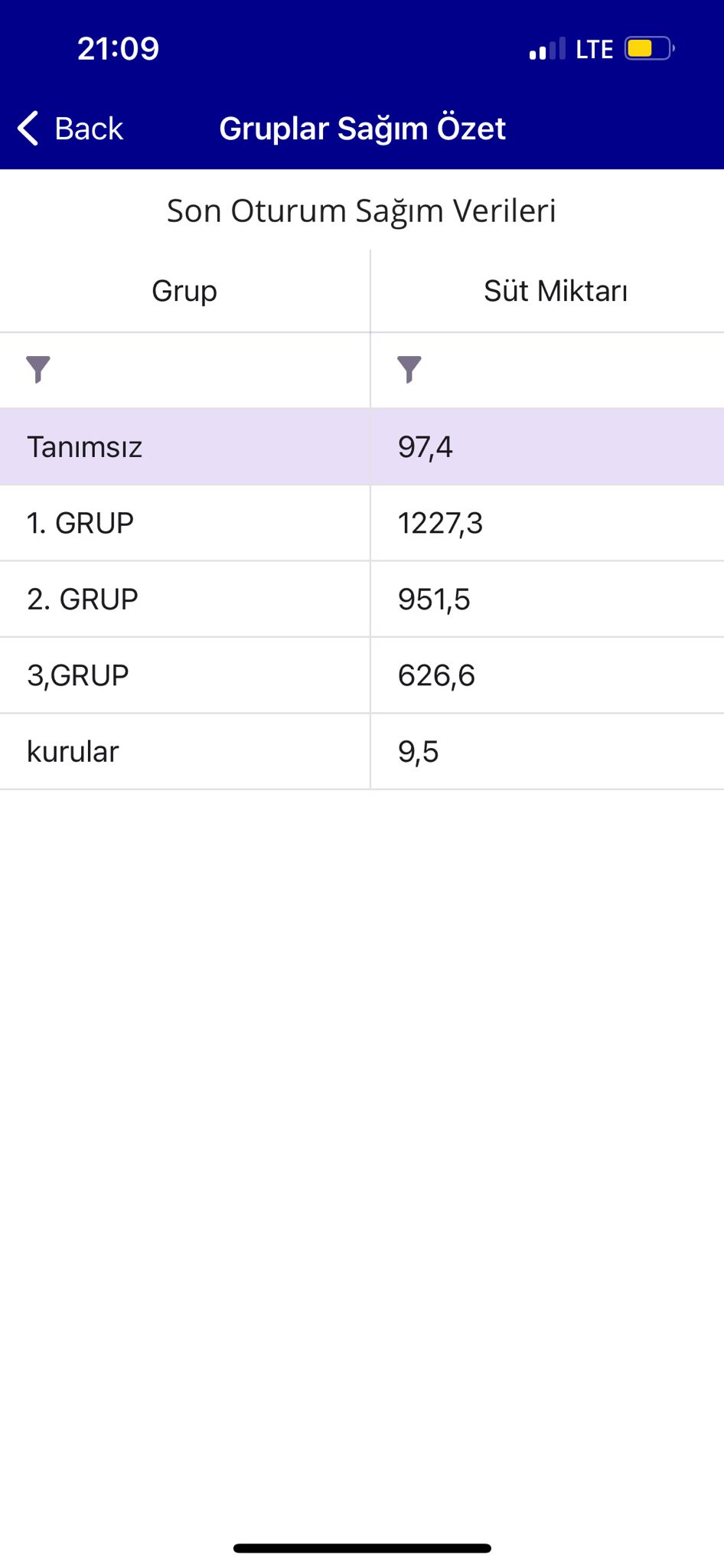 Mobil Arayüz 2